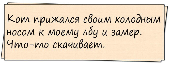 Анекдоты