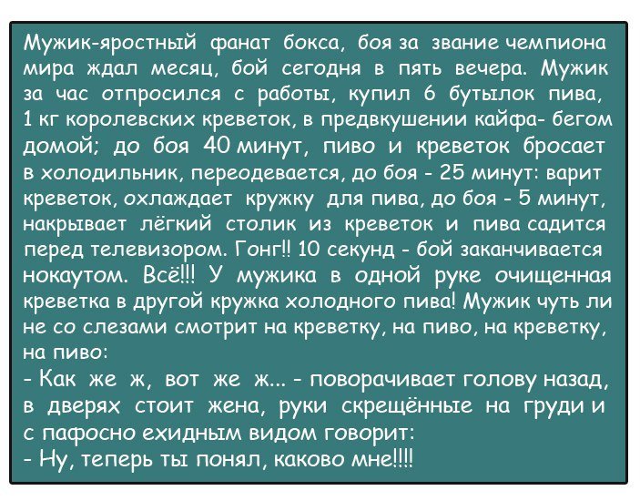 Анекдоты дня