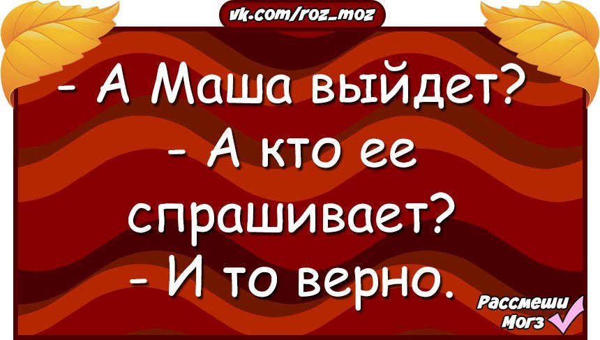 Анекдоты дня