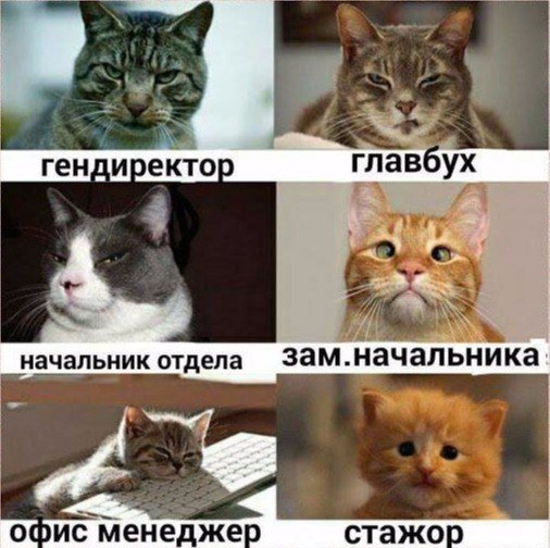 Анекдоты дня