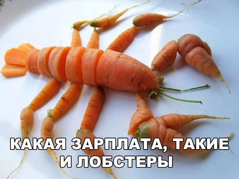 Анекдоты дня