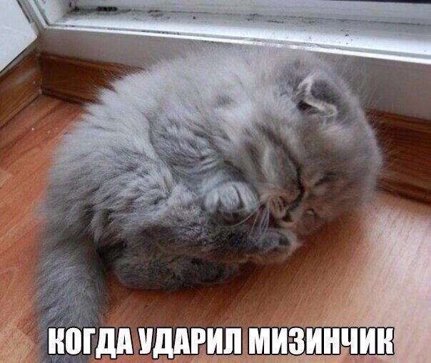 Хорошие анекдоты