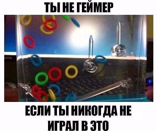 Анекдоты дня