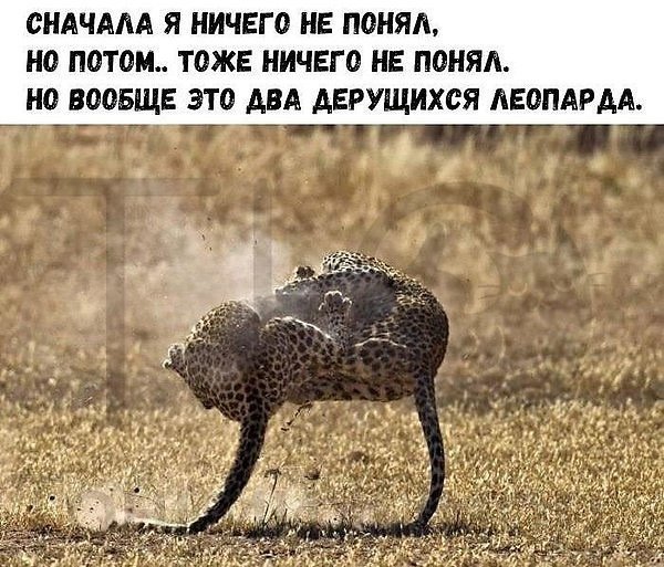 Лучшие анекдоты