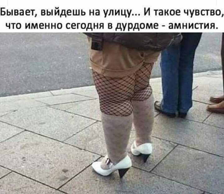 Анекдоты дня