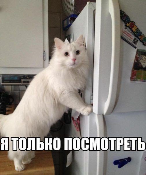 Анекдоты дня
