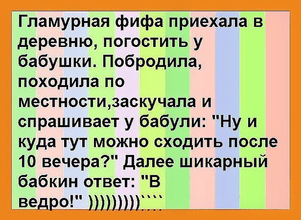 Анекдоты дня