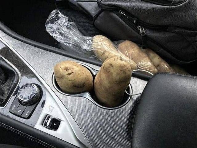 Порция отличного юмора