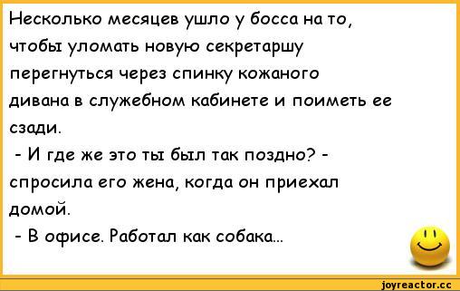 Смешные анекдоты