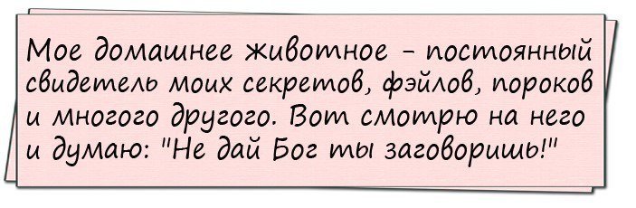 Смешные анекдоты