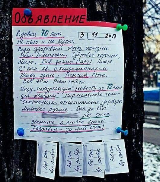 Анекдоты дня
