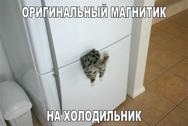 Анекдоты