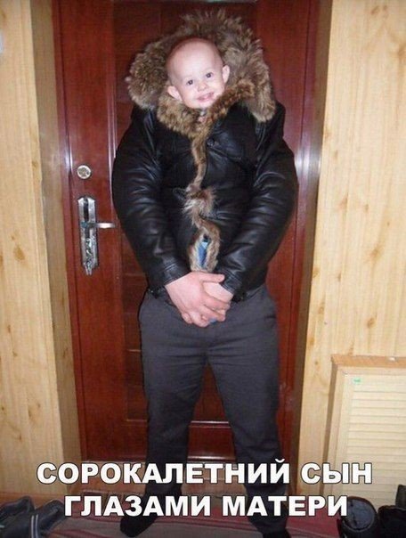 Анекдоты дня