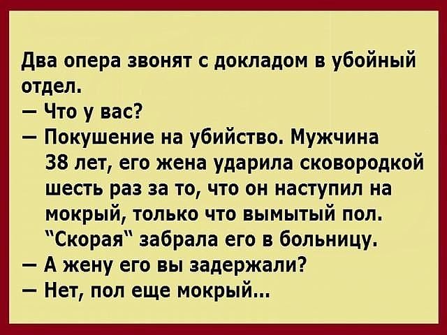 Анекдоты дня