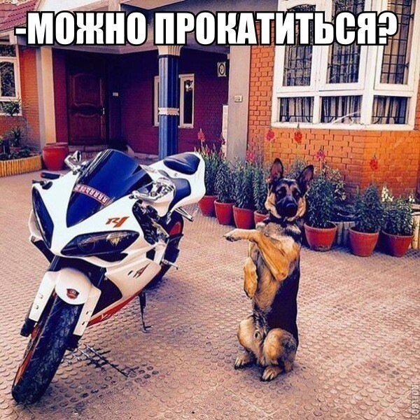 Отличные анекдоты