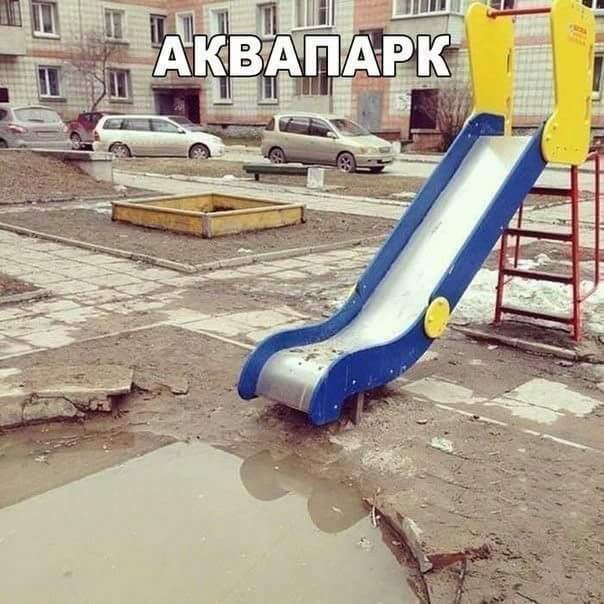 Анекдоты дня