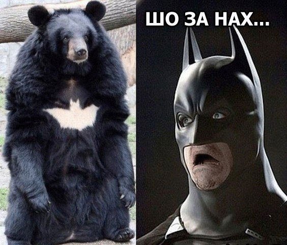 Очень смешное окончание