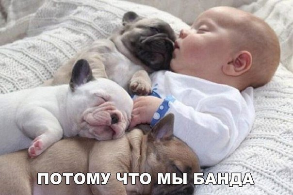 Смешные анекдоты