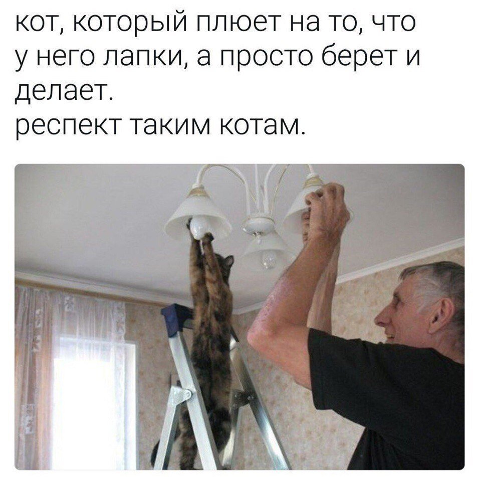 Анекдоты