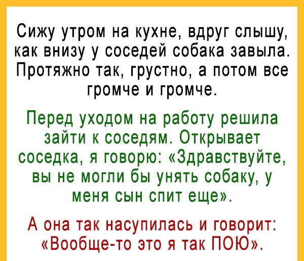 Анекдоты дня