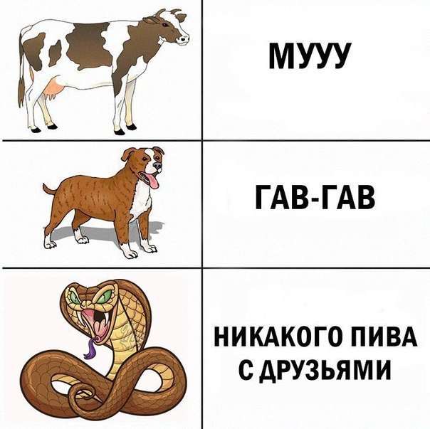 Анекдоты дня