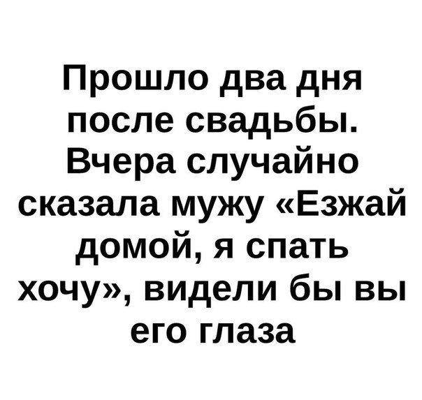 Анекдоты дня