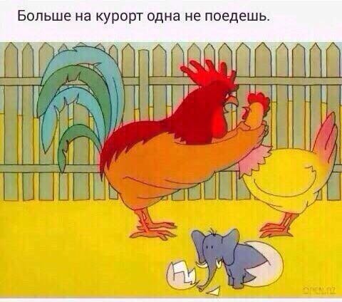Анекдоты дня