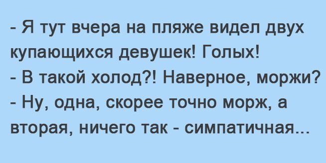 Анекдоты дня