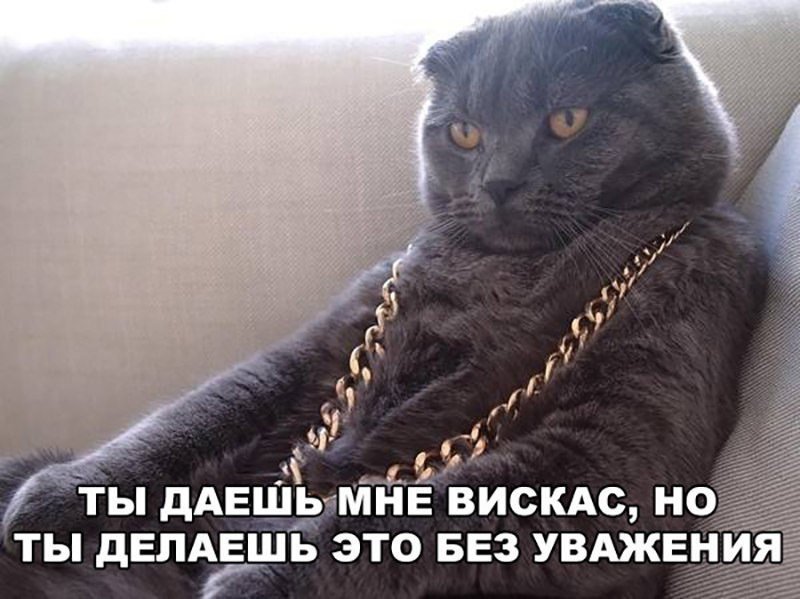 Я смеялся до слез!