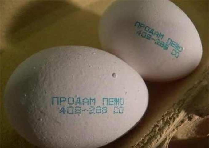 Хорошие анекдоты