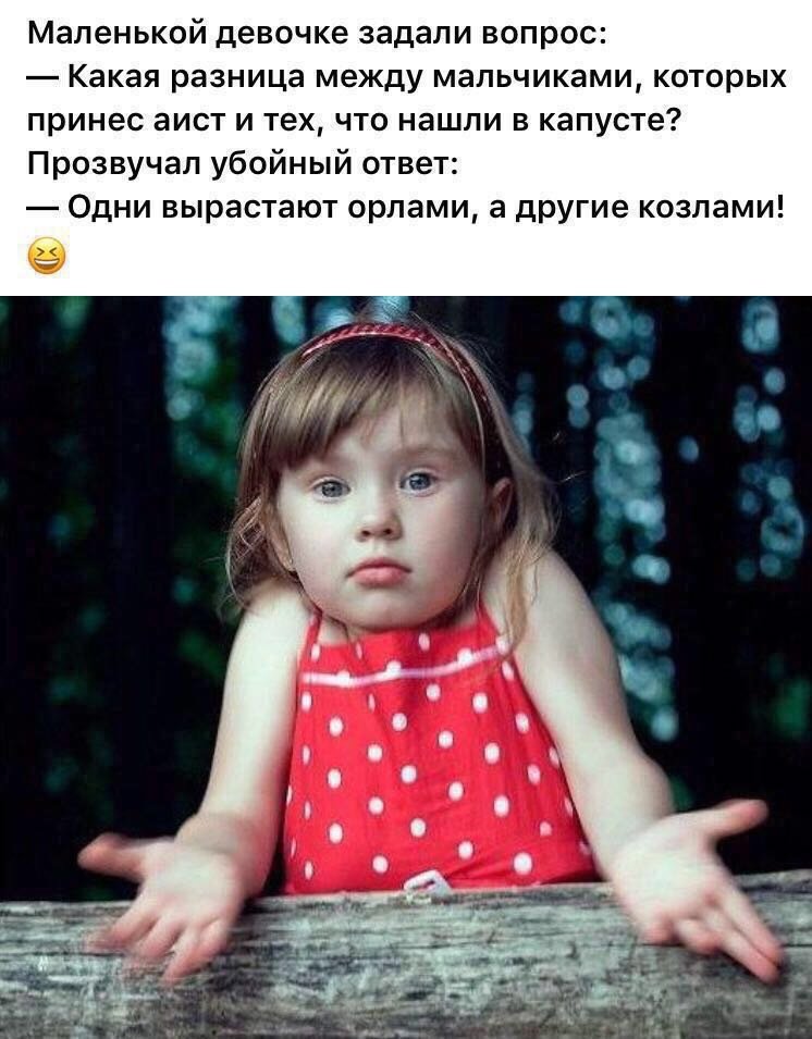 Лучшие анекдоты