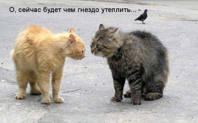 Смешные анекдоты