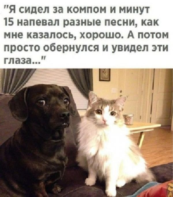 Хорошие анекдоты