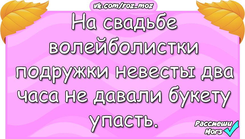 Анекдоты дня