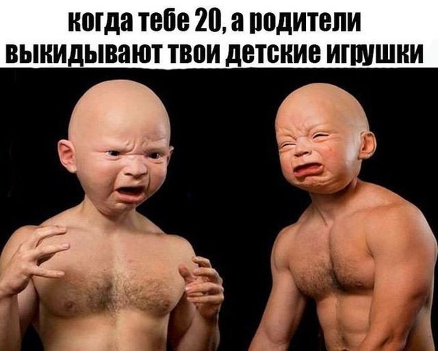 Анекдоты дня