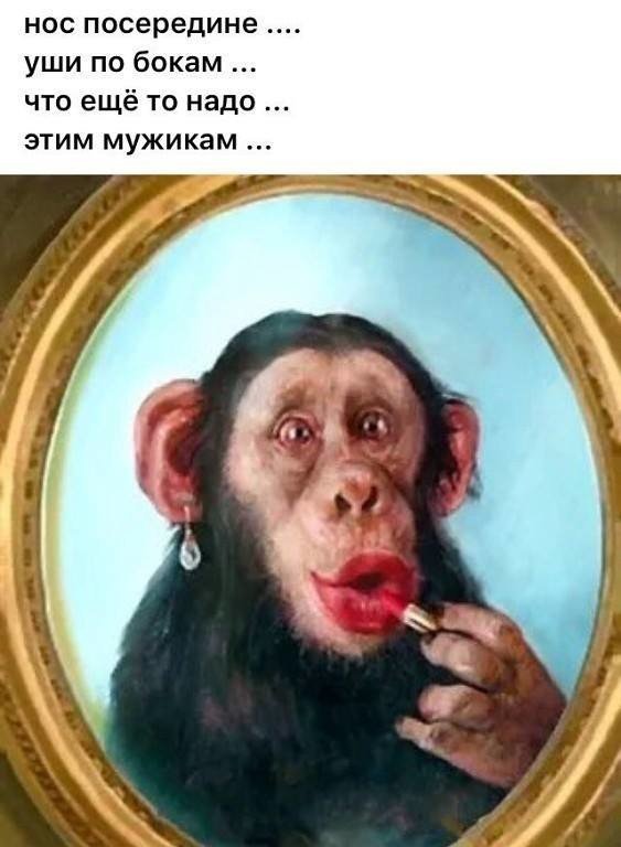 Лучшие анекдоты