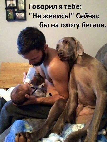 Смешные анекдоты