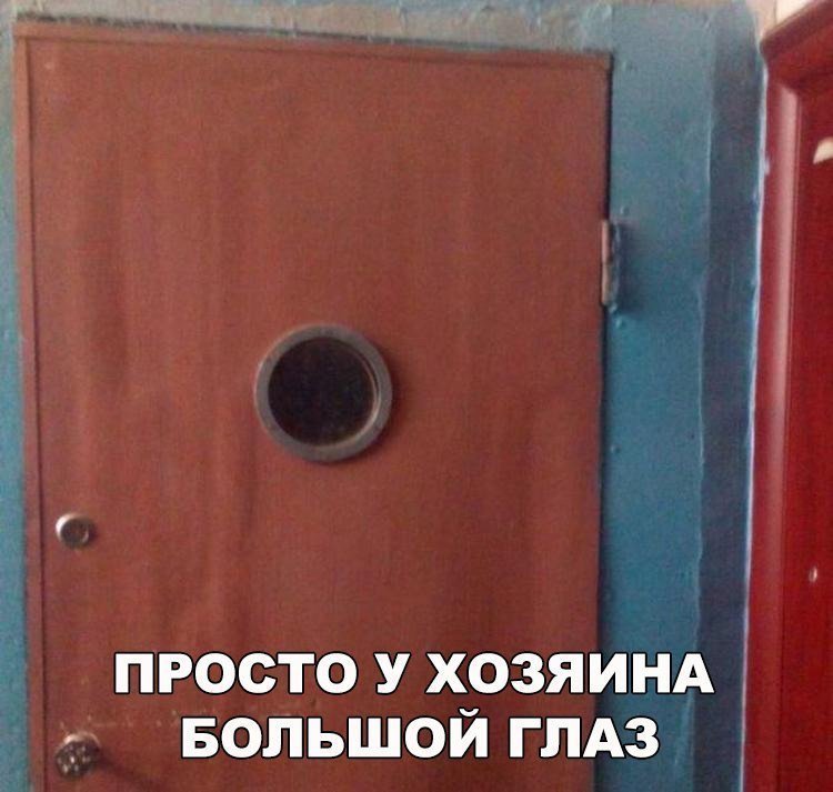 Анекдоты дня