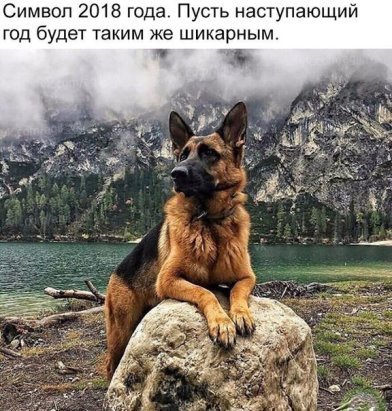 Анекдоты
