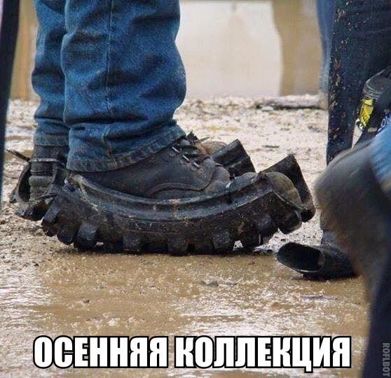 Лучшие анекдоты