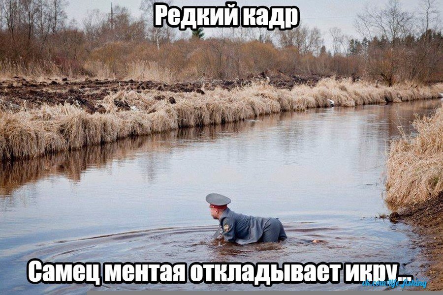 Отличные анекдоты