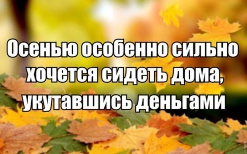Анекдоты