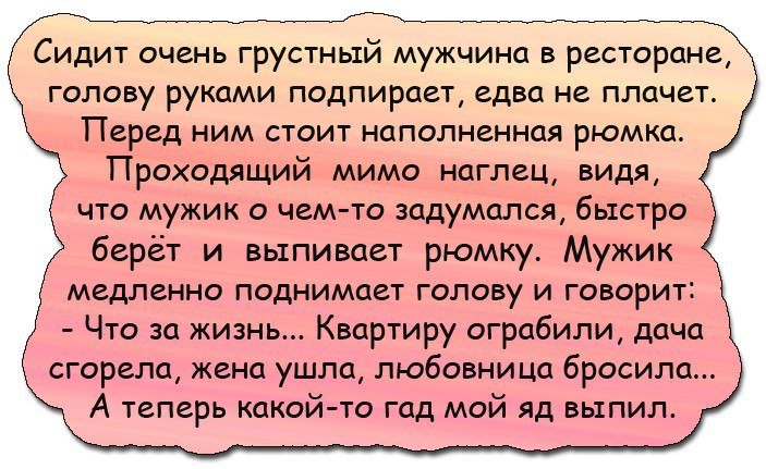 Анекдоты дня