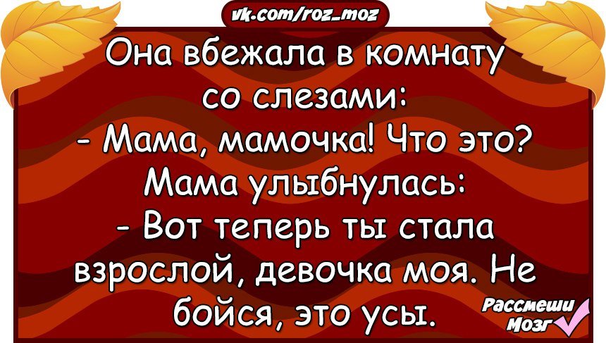 Анекдоты дня