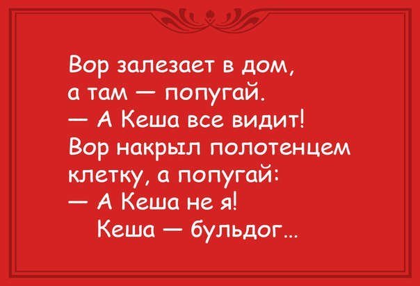 Анекдоты дня