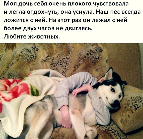 Лучшие анекдоты
