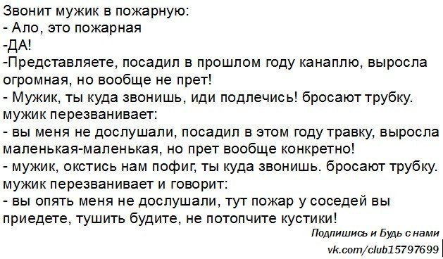 Анекдоты дня