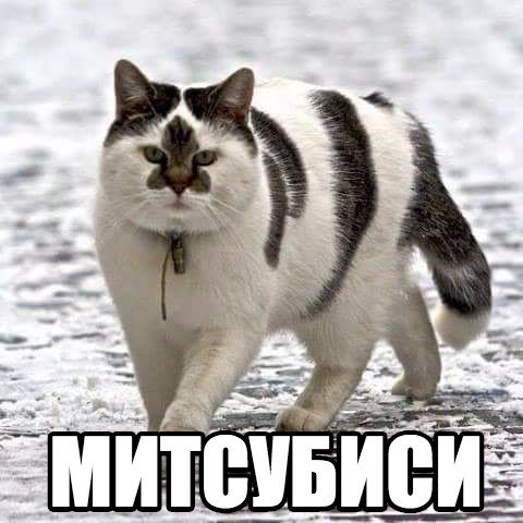 Анекдоты дня