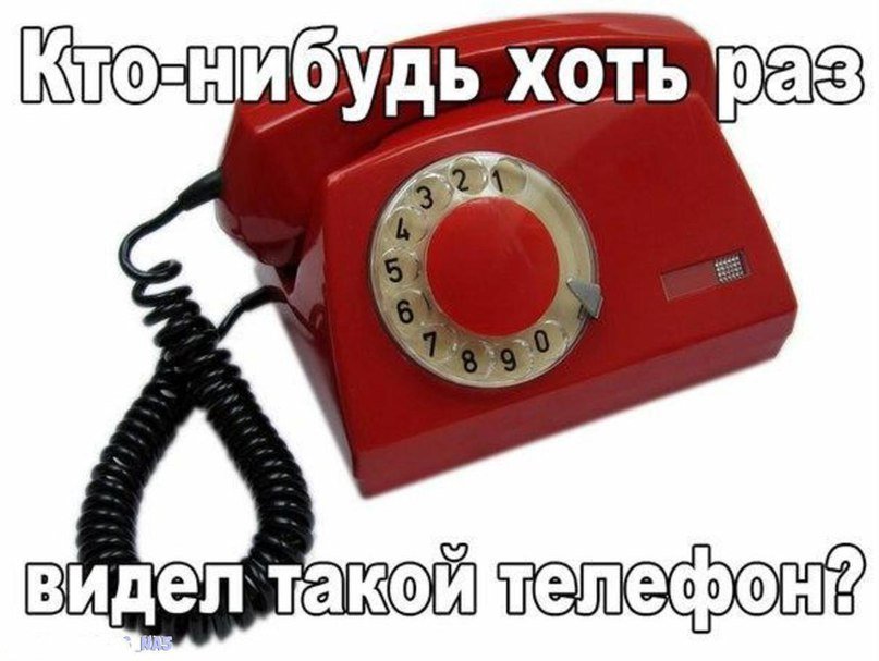 Анекдоты дня