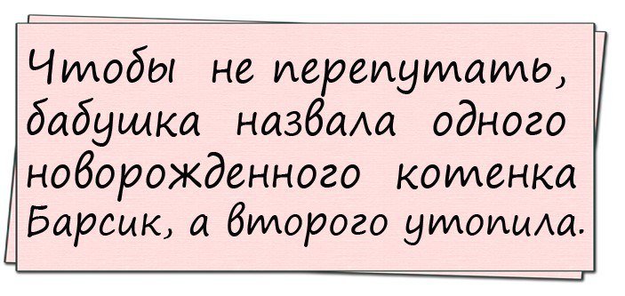 Смешные анекдоты
